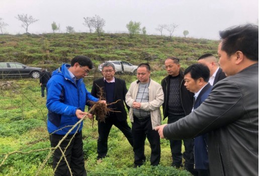 务乡村振兴  我们在路上