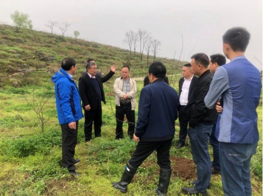 务乡村振兴  我们在路上