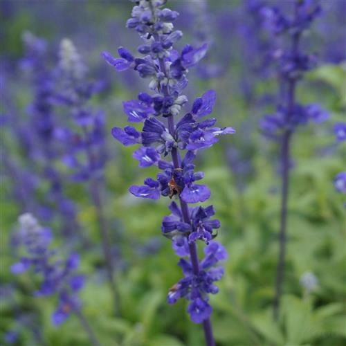 2021年6.5世界环境日主题