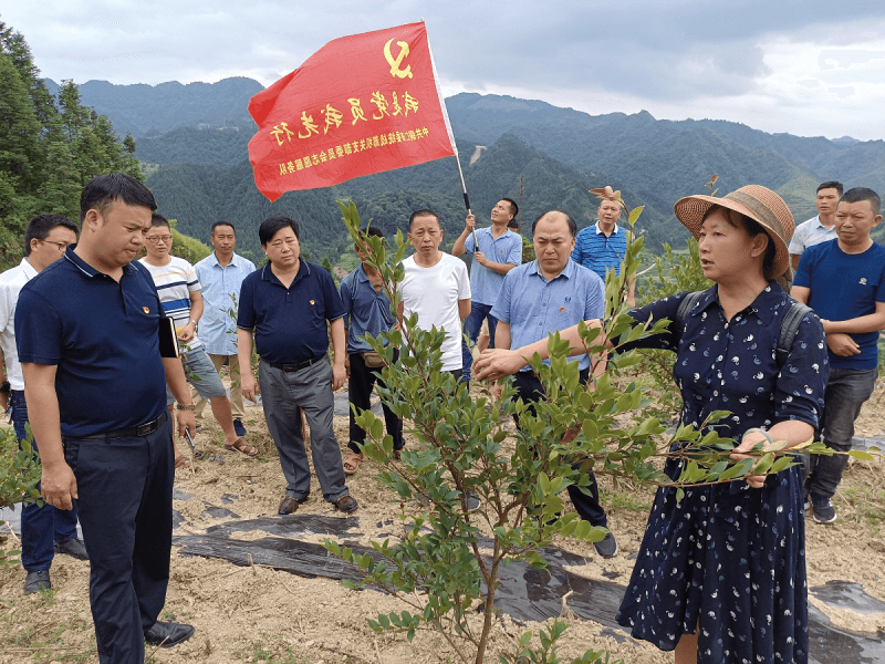 市委统战部到松桃县开展党史学习教育暨联建帮扶志愿服务活动