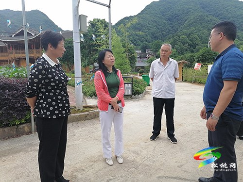 剑河县来松桃调研旅游、产业发展等工作