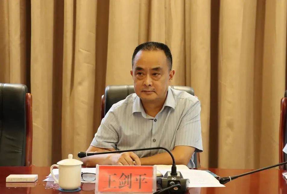 罗洪祥会见铁骑力士集团王剑平一行