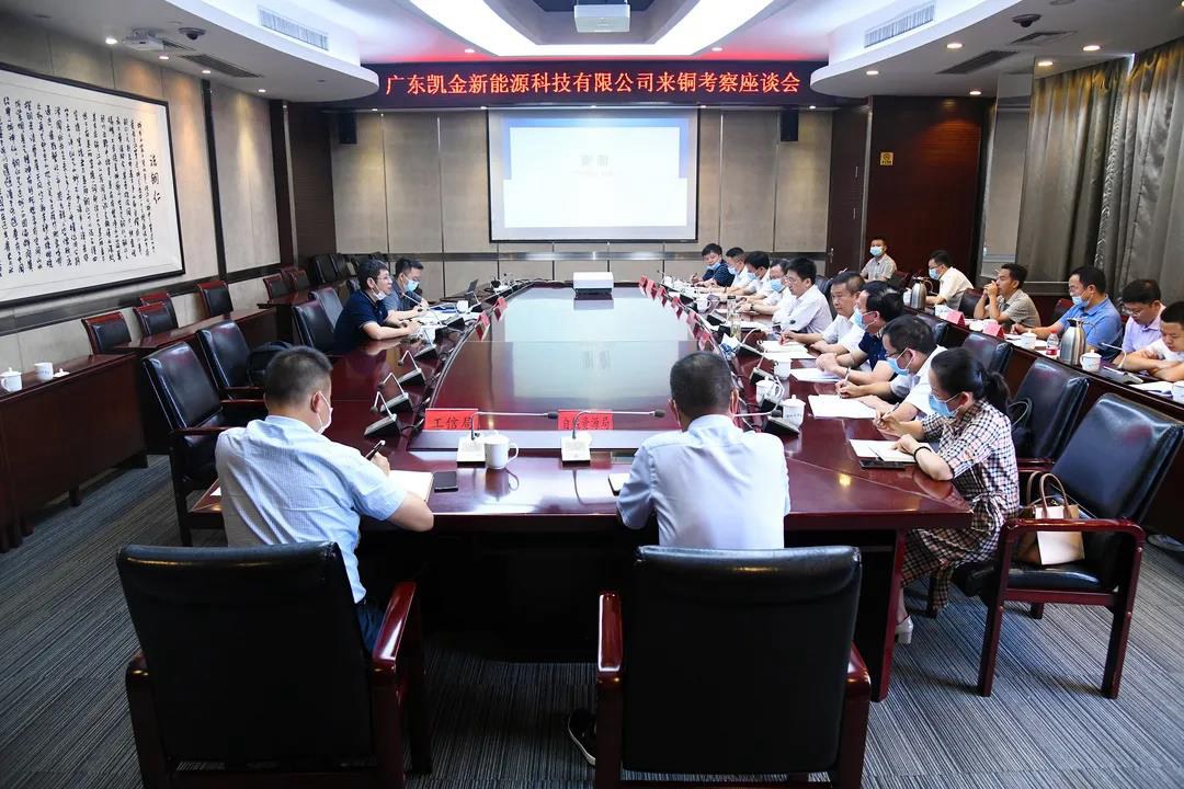 广东凯金新能源科技有限公司来铜考察