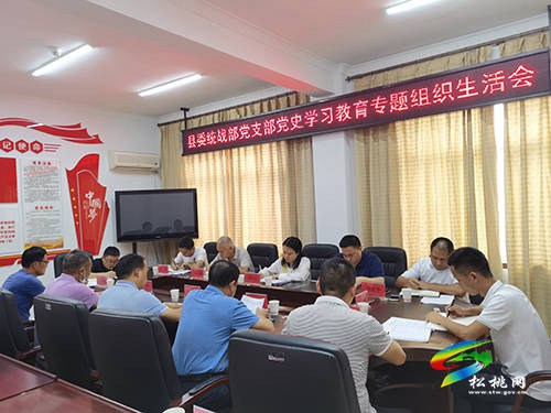 县委统战部党支部召开党史学习教育专题组织生活会