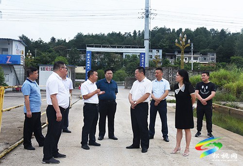 商友江到松桃开展调研