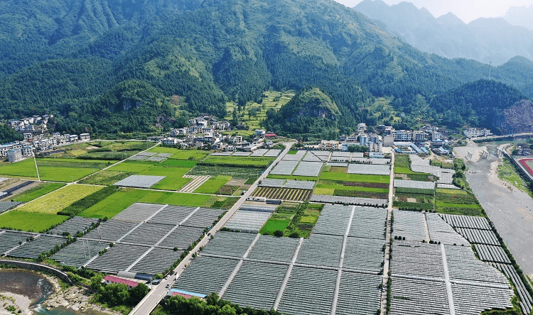 江口县闵孝镇：发展特色水果产业 助推乡村振兴