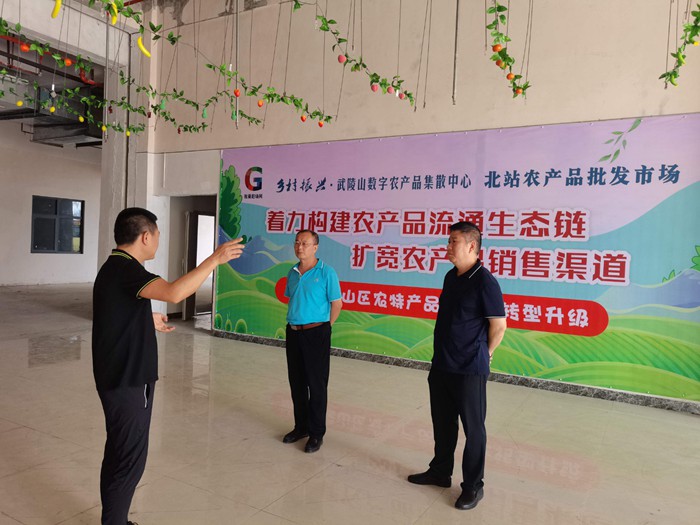 叶锋到侨资企业调研