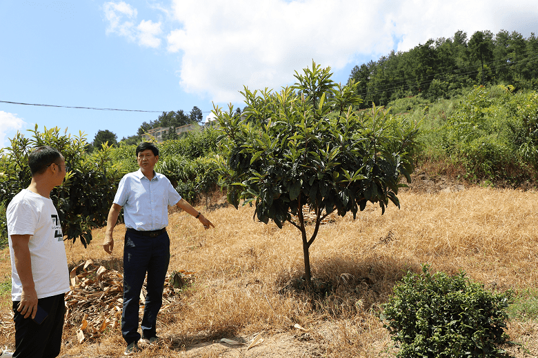 民革铜仁市委到石阡县坪岭村开展对口联系工作