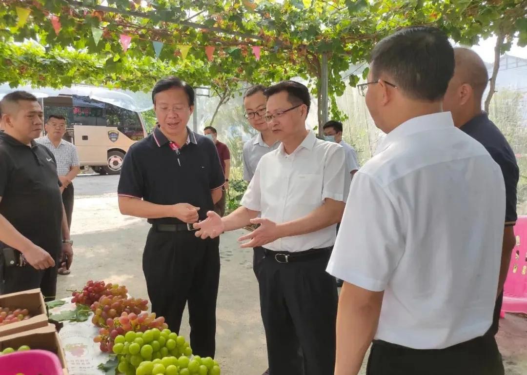 陈志伟率考察团来沿调研东西部协作工作并举行捐赠和项目签约仪式