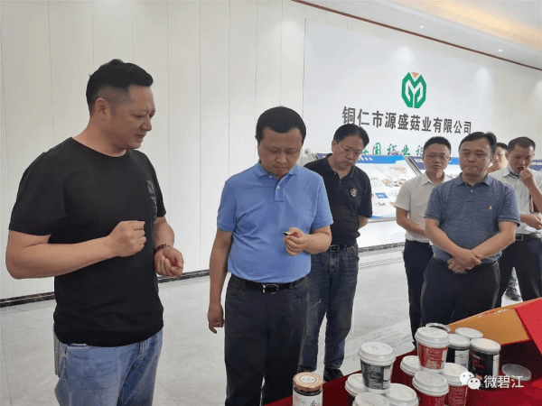 市政协主席肖洪到碧江调研