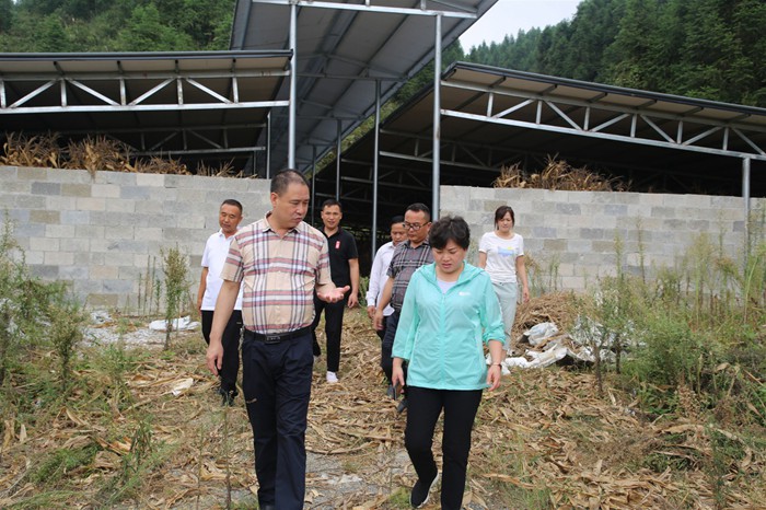 民建铜仁市工委联合民建会员企业开展会员企业调研活动