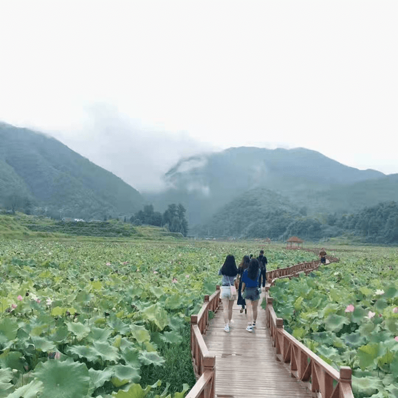 松桃县盘信镇：发挥非公有制经济组织优势 助推乡村旅游高质量发展