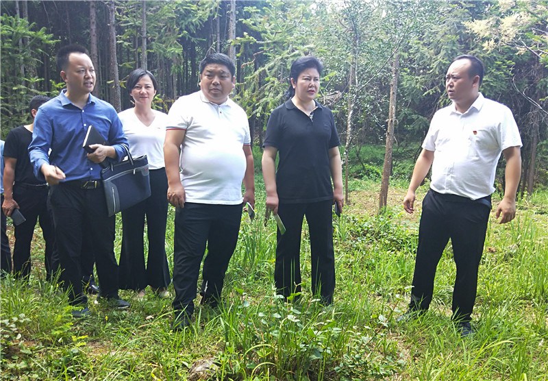 省民宗委到石阡调研少数民族特色村落建设和特色产业发展