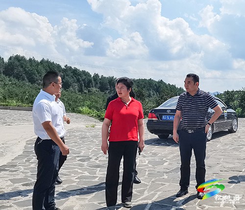 邓兆桃一行到松桃调研少数民族特色村落建设和特色产业发展