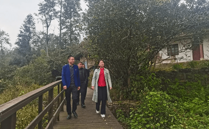 董道萍到塘坝镇调研指导当前重点工作