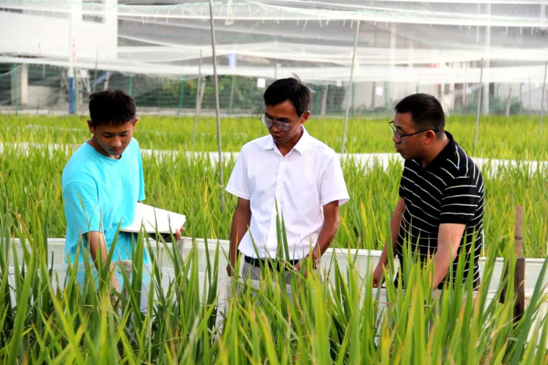 印江自治县“3+3”模式做强村级集体经济