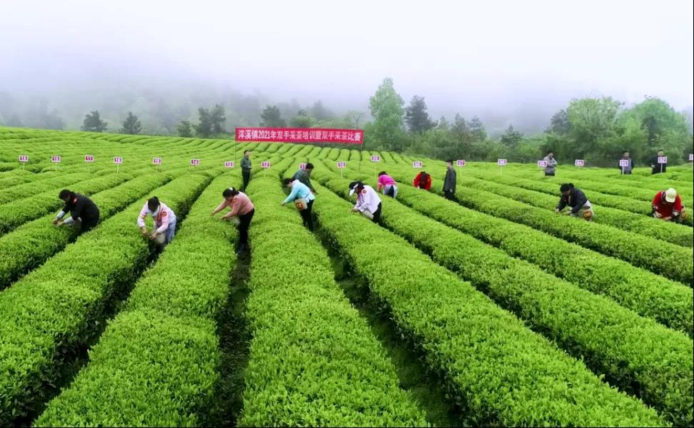 印江自治县“3+3”模式做强村级集体经济