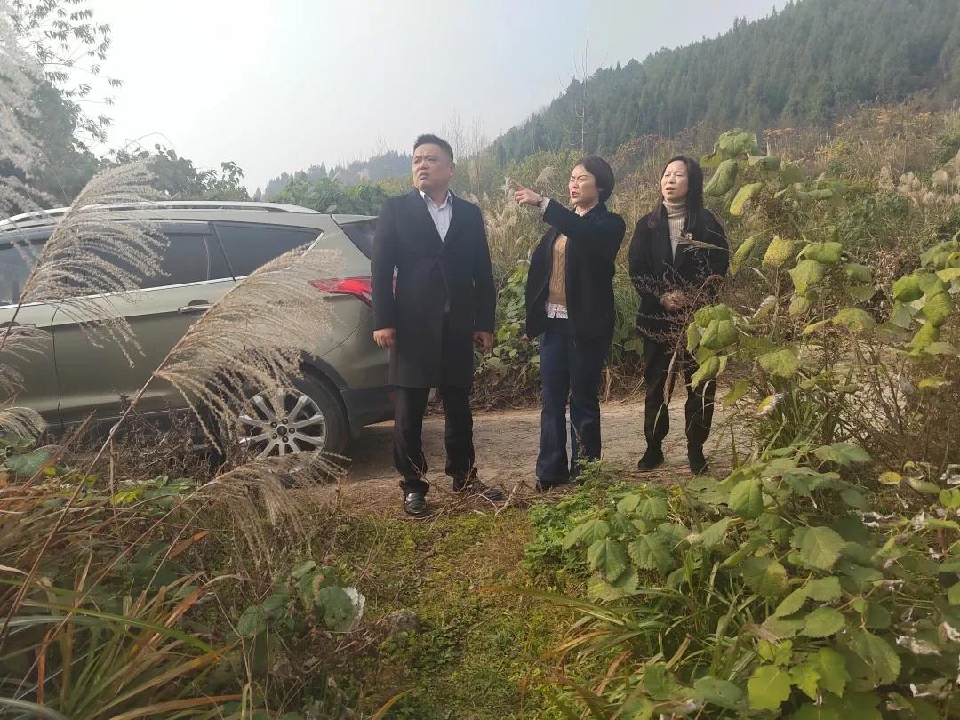 杨婧在正光街道调研指导脱贫攻坚后评估和环保大督察等工作