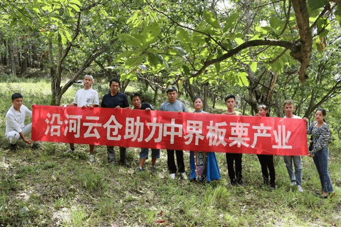 线上线下齐发力 沿货出山路更宽