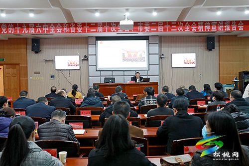 商友江来松桃宣讲党的十九届六中全会和省委十二届十次全会、市委二届十三次全会精神