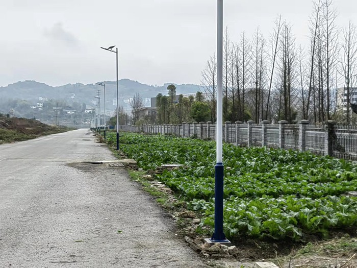 思南县邵家桥镇 ：爱心企业送温暖，照亮乡村振兴路