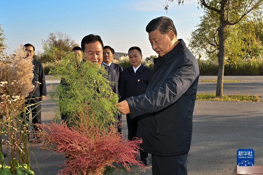 习近平：咬定目标脚踏实地埋头苦干久久为功 为黄河永远造福中华民族而不懈奋斗