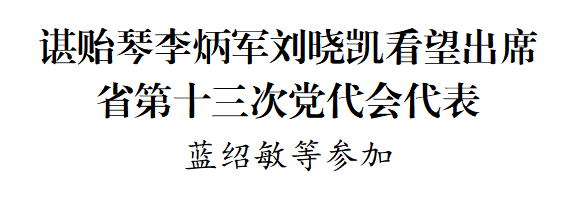 谌贻琴李炳军刘晓凯看望出席省第十三次党代会代表