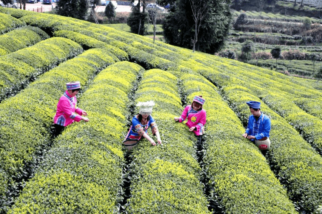 谱写新时代民族工作高质量发展新篇章——印江全力推进民族团结进步创建工作