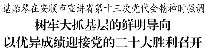 【学习宣传贯彻省第十三次党代会精神】谌贻琴在安顺市宣讲省第十三次党代会精神