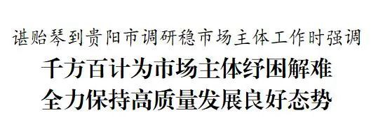 谌贻琴到贵阳市调研稳市场主体工作