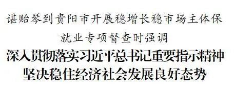 谌贻琴到贵阳市开展稳增长稳市场主体保就业专项督查