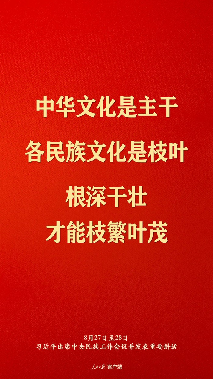 习近平总书记在中央民族工作会议上的重要讲话金句