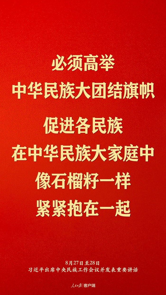 习近平总书记在中央民族工作会议上的重要讲话金句