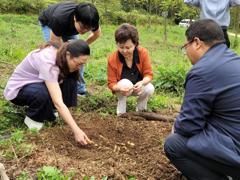 【新时代•巡礼】贵州：画说统战