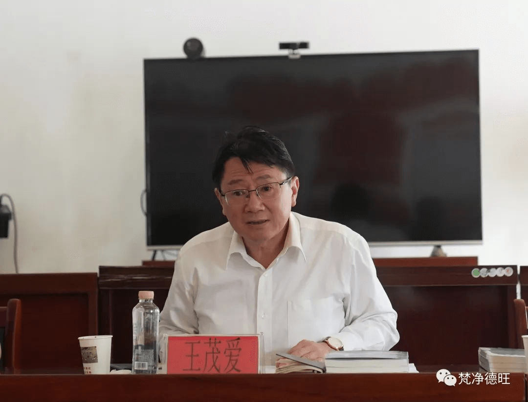 王茂爱一行到德旺乡调研