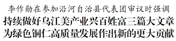 李作勋参加沿河自治县代表团审议