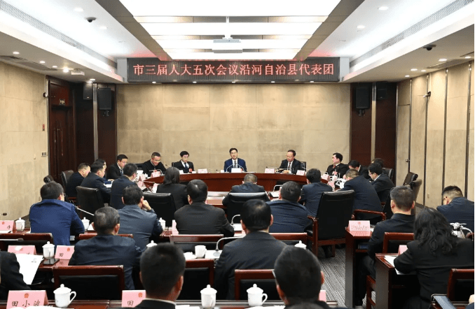 李作勋参加沿河自治县代表团审议