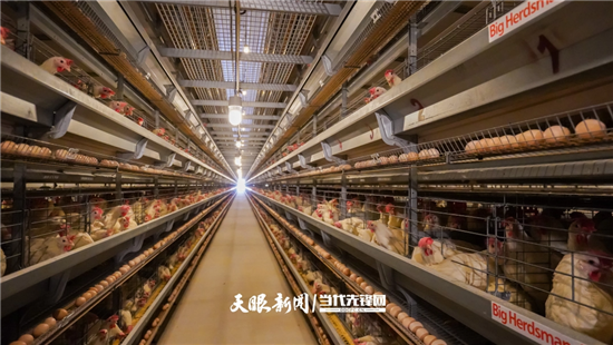 一枚小鸡蛋，撬动铜仁百亿富民产业