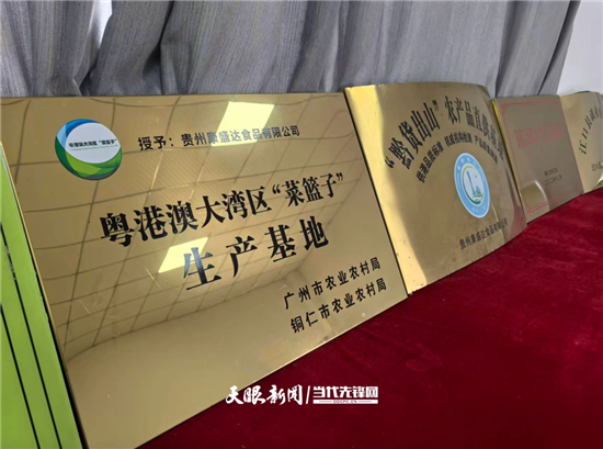 一枚小鸡蛋，撬动铜仁百亿富民产业