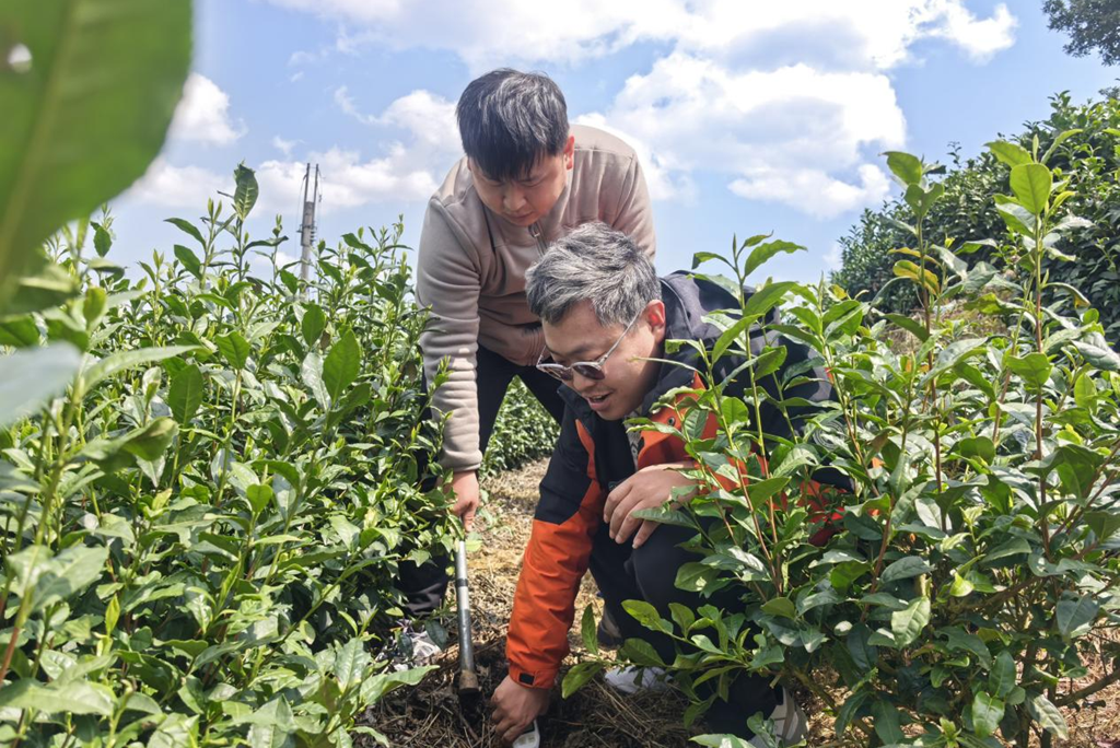 农工党铜仁职大支部段鹏博士获批2026年度贵州省基础研究计划项目