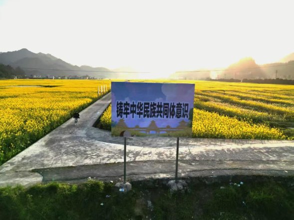 铜仁市碧江瓦屋：油菜花开处 共叙民族团结情
