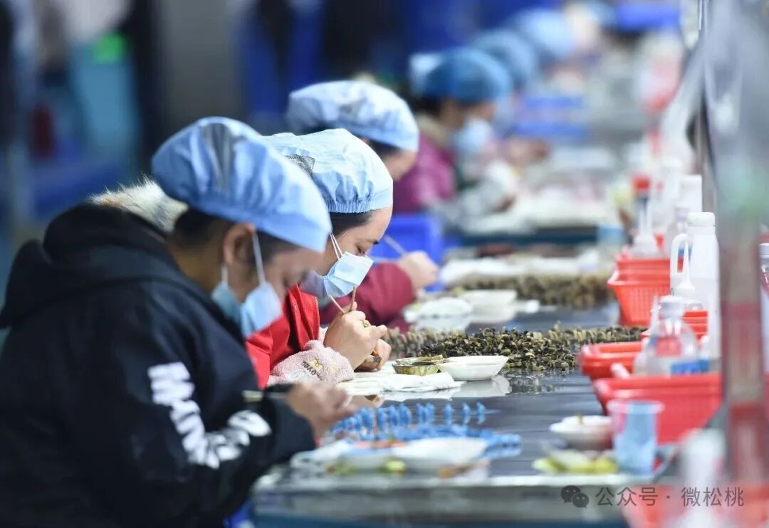 松桃：服务企业解民忧 政企同心促发展