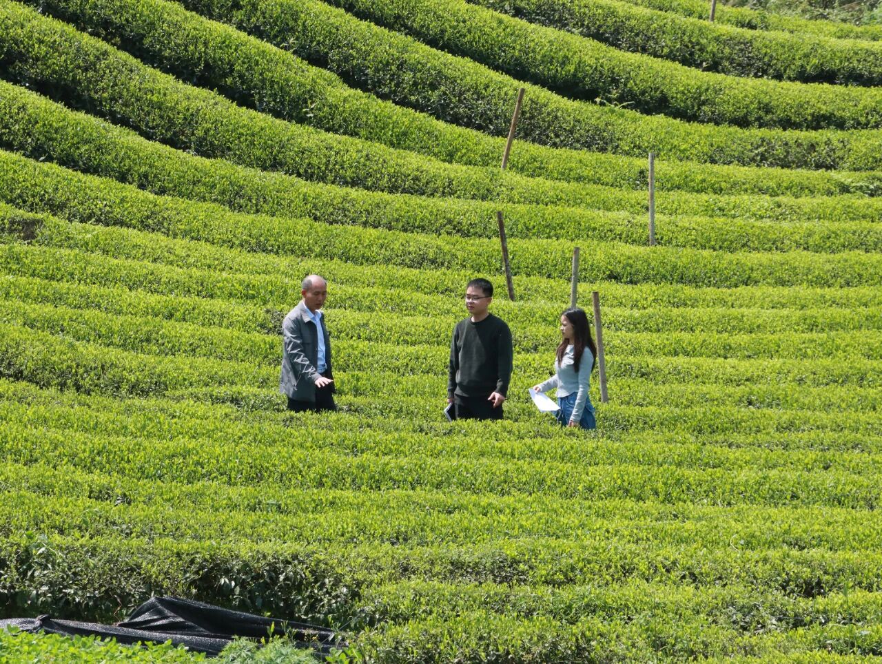 德江：500万一周到账！密码藏在这里→