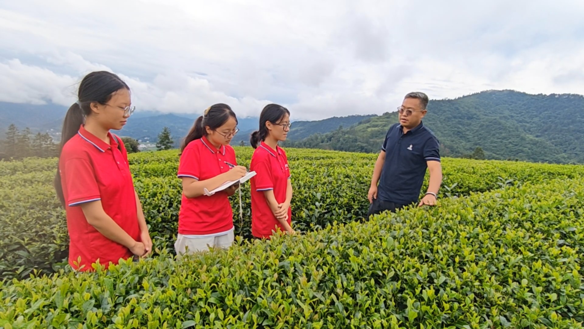 将实验室搬进茶山 ——农工党铜仁职大支部以科研实干 赋能抹茶产业高质量发展