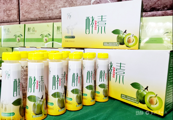 以“李”为媒聚合力  同心赋能富民产业